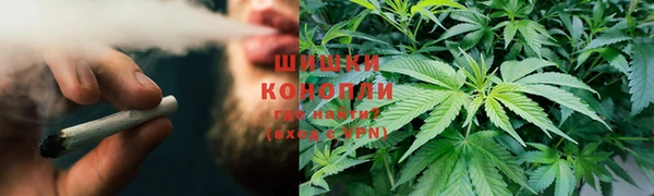 гидра Армянск