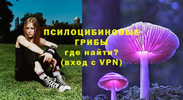соль курить ск Арсеньев