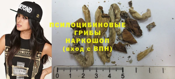 гидра Армянск